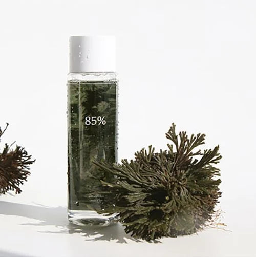 Dr. Althea Anastatica Skin Conditioning Toner